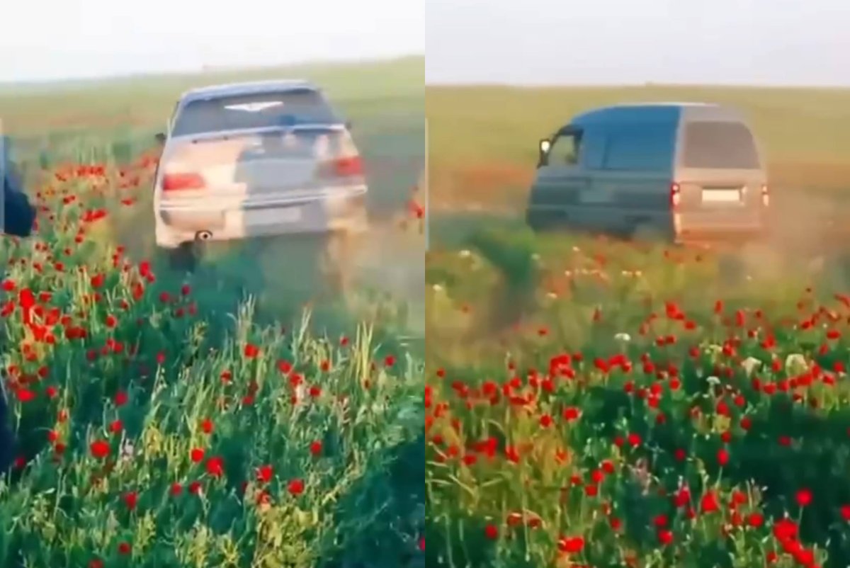 Фото: видеодан скриншот