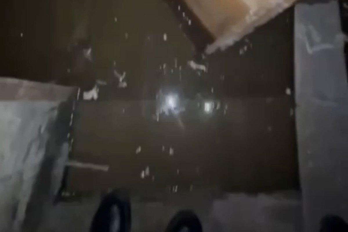 Фото: видеодан скрин