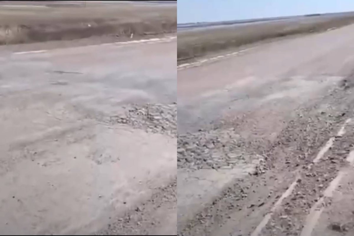 Фото: видеодан скрин