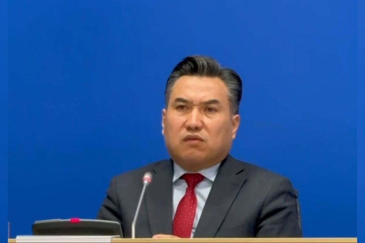 Фото: видеодан скриншот