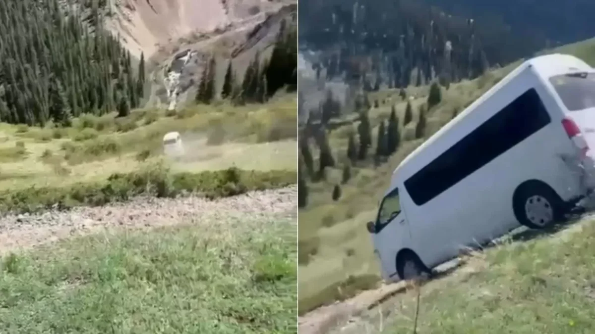 Фото: видеодан скриншот