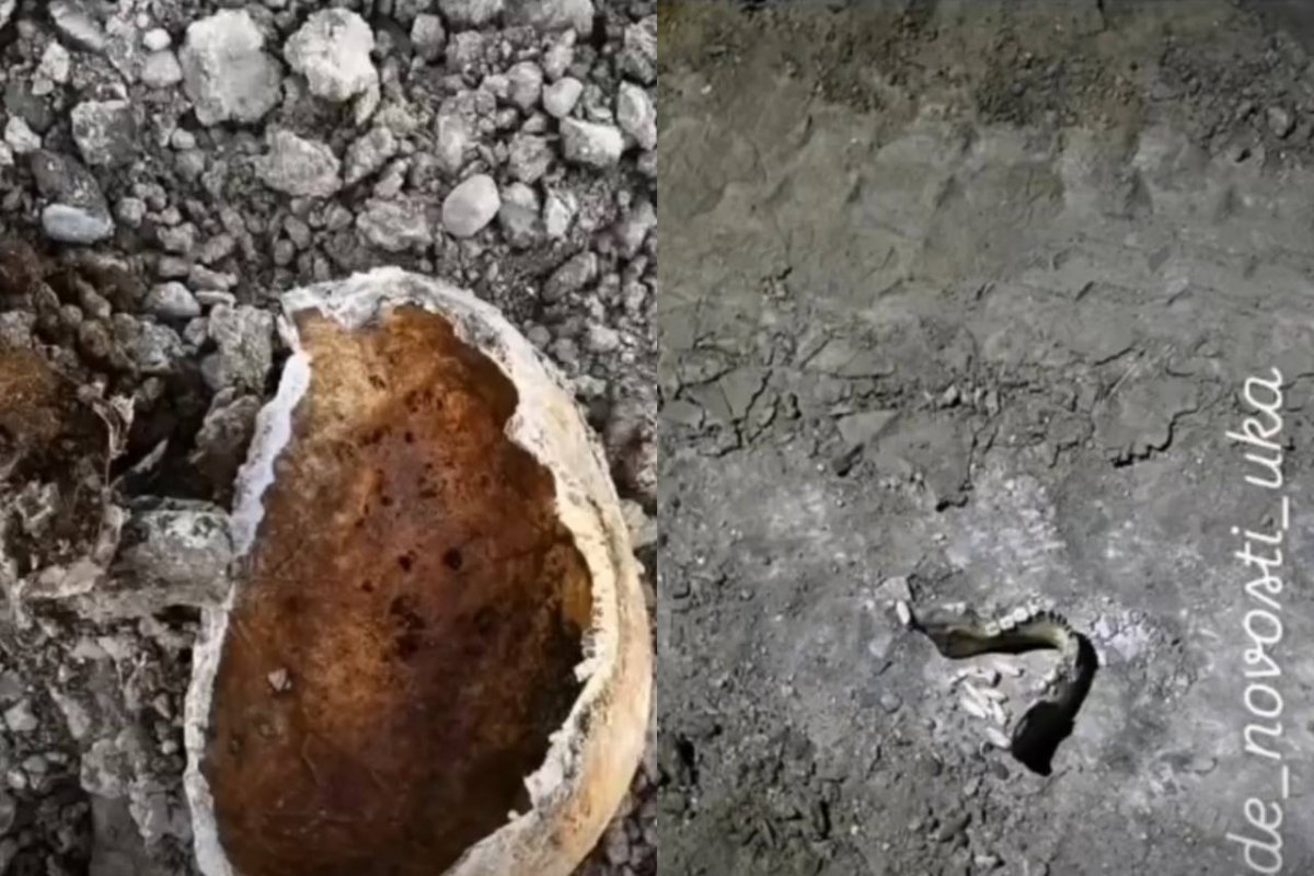 Фото: видеодан скрин