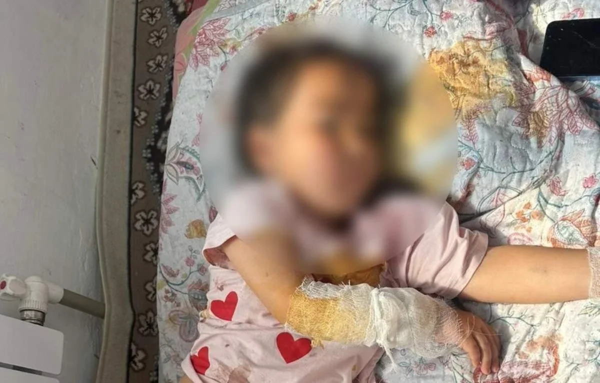 Фото: видео скриншот