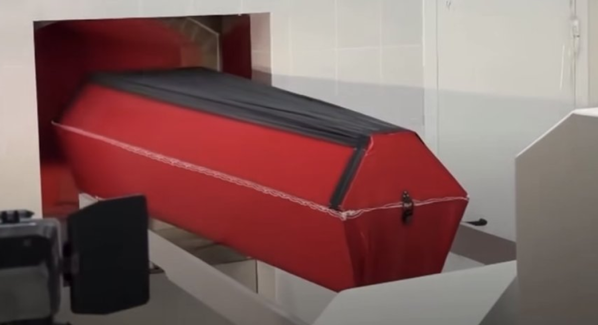 Фото: видеодан скрин