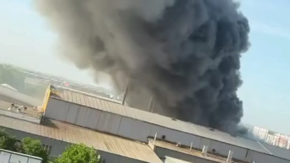 Фото: Видеодан алынған кадр