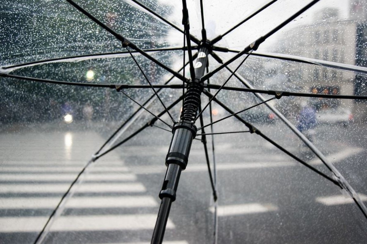 Фото: Pixabay