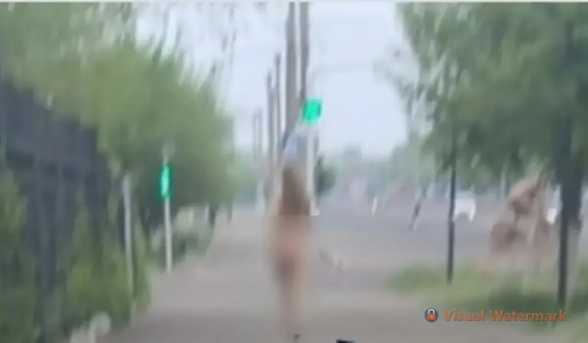 Фото: видео скриншот
