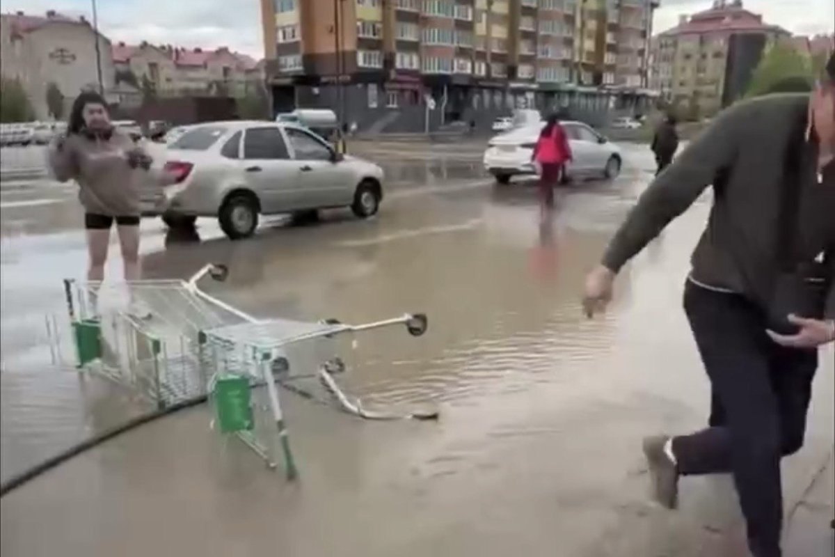 Фото: видеодан скрин