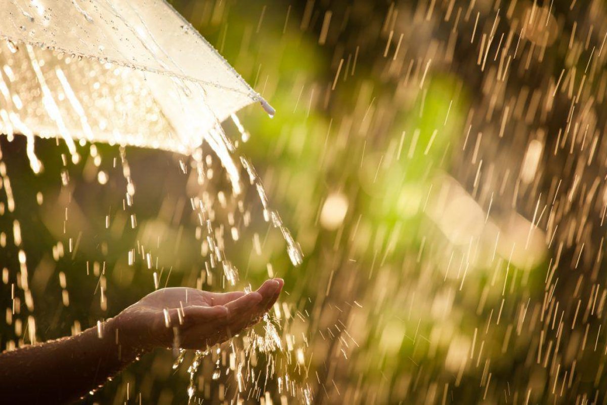 Фото: pixabay