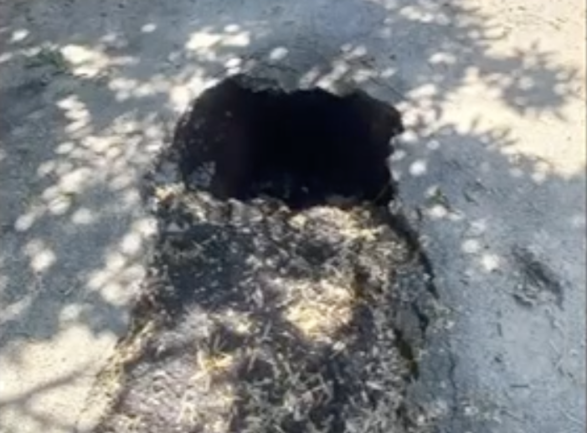 Фото: видео скриншот