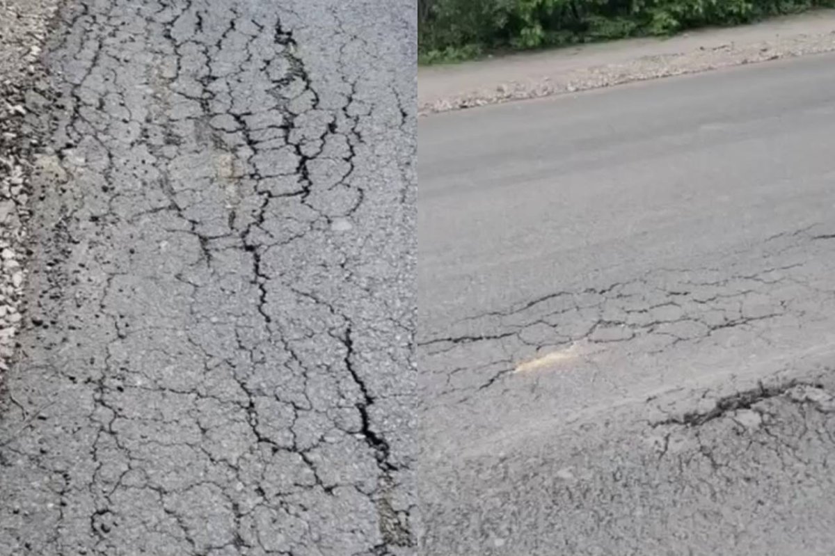 Фото: видеодан скрин