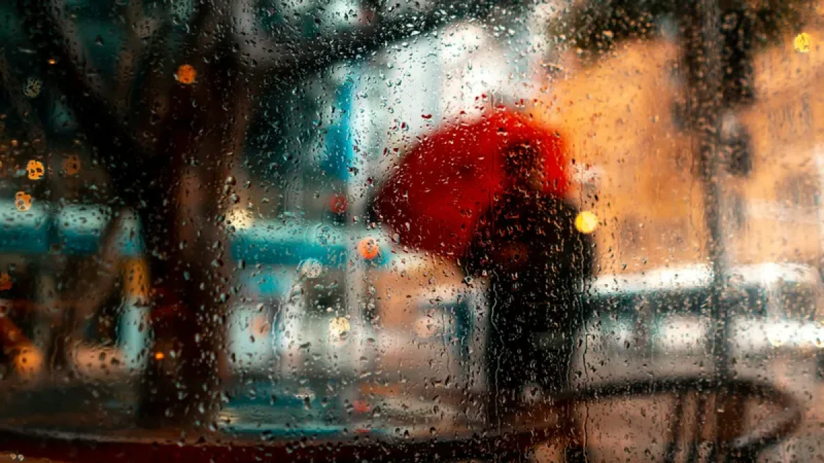 Фото: Unsplash