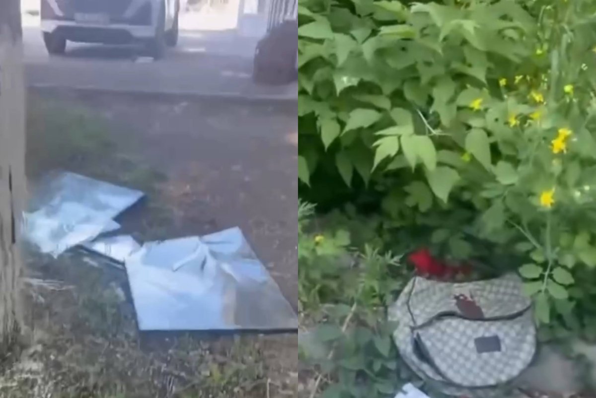 Фото: видеодан скриншот