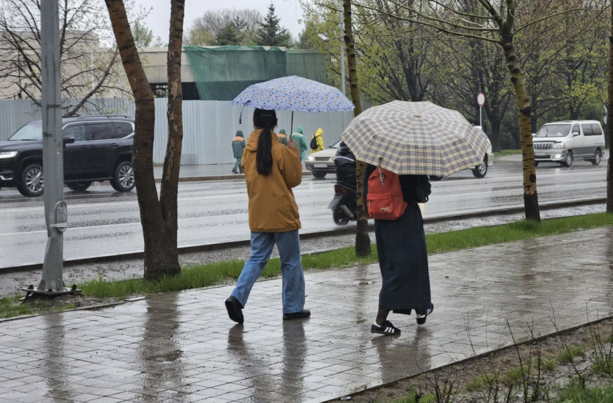 Фото: Алматы әкімдігі