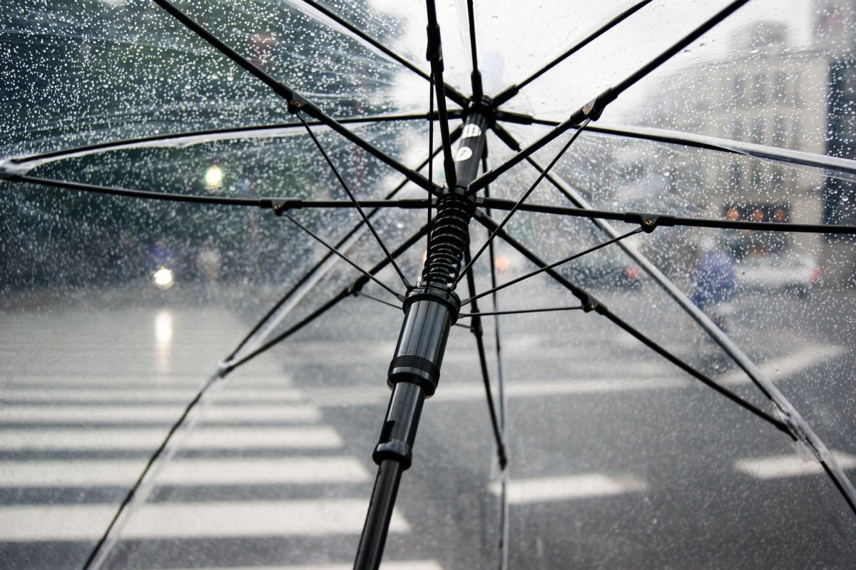 Фото: Pixabay
