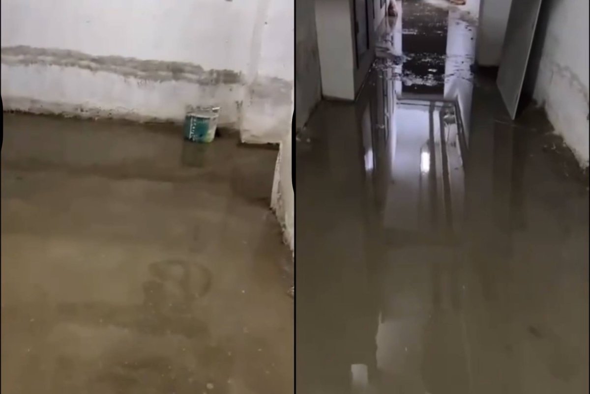 Фото: видеодан скриншот