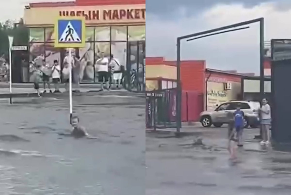 Фото: видеодан скриншот