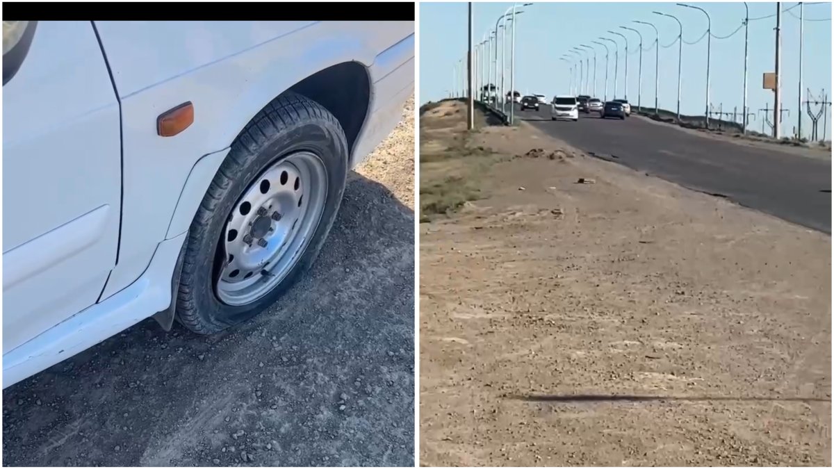 Фото: видео скриншот