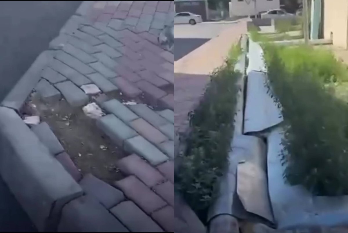 Фото: видеодан скриншот