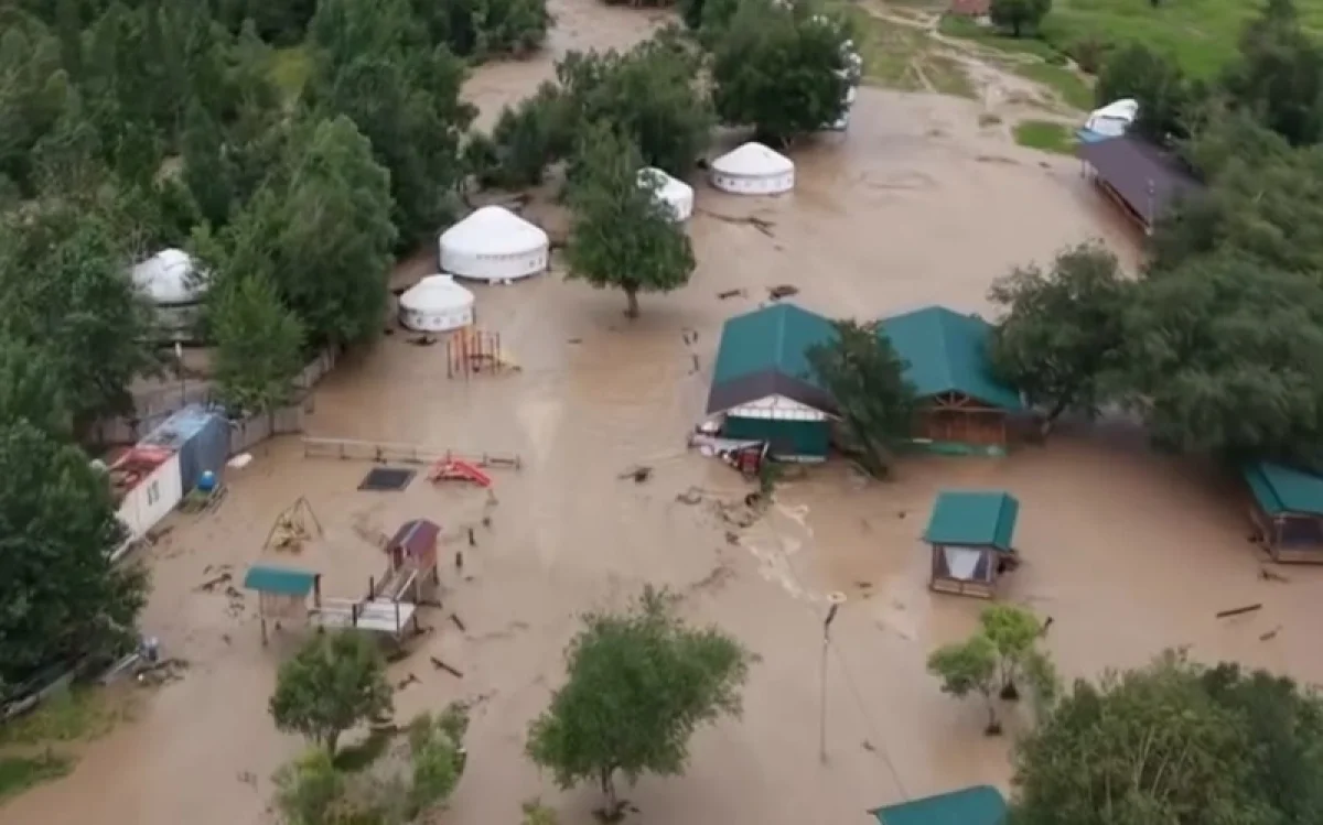 Фото: видеодан скриншот