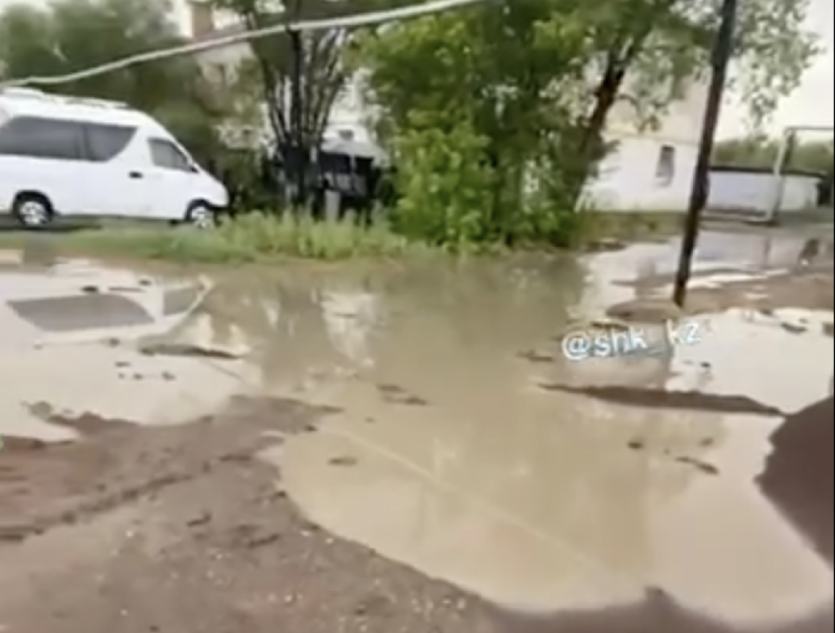 Фото: видео скриншот