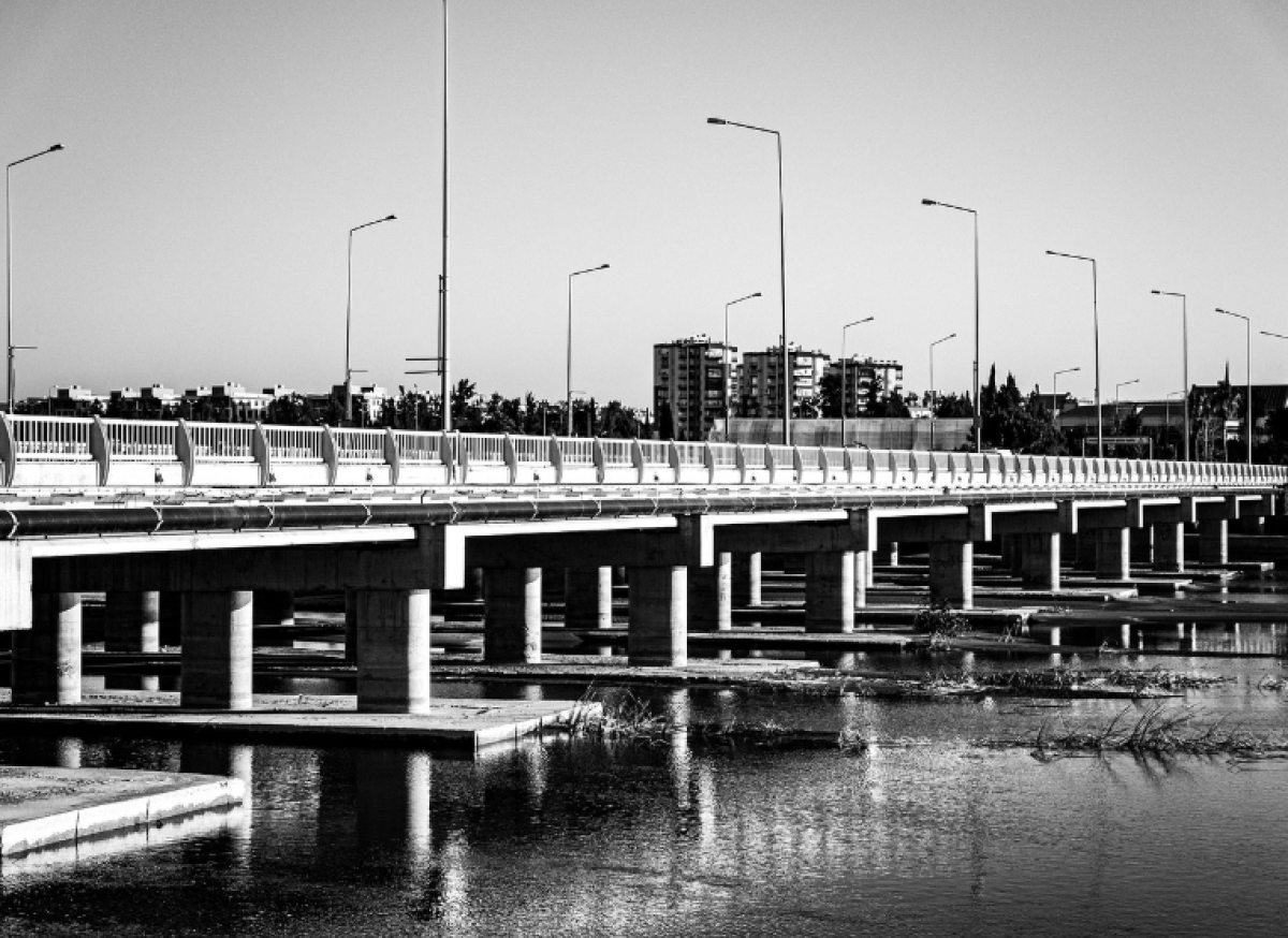 Фото: Pixabay