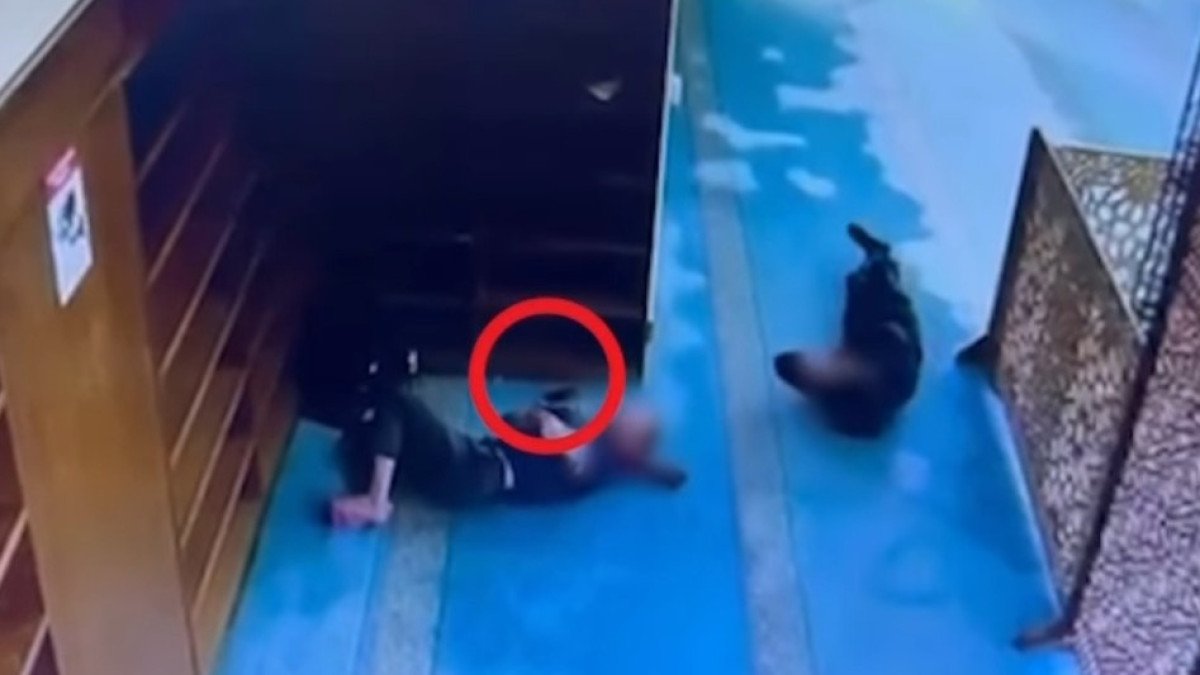 Фото: видео скриншот
