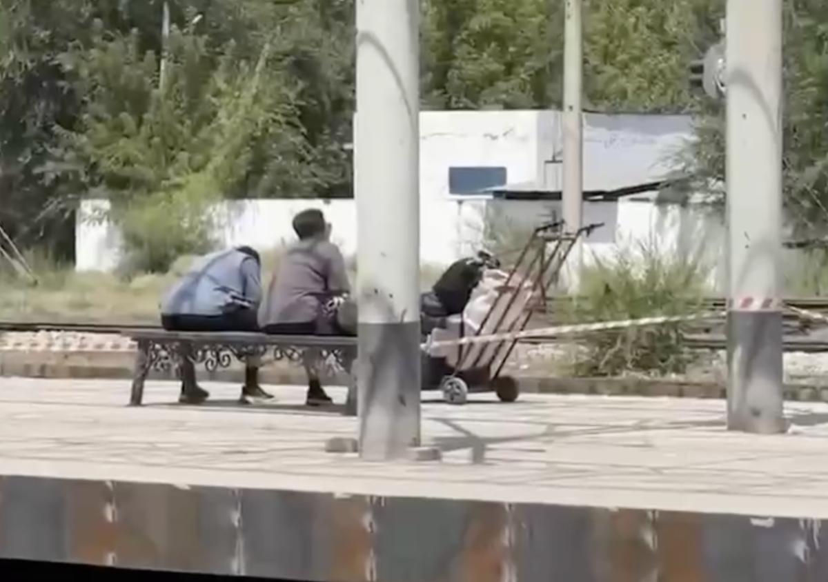 Фото: видео скриншот