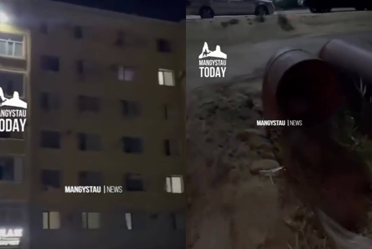 Фото: видеодан алынды