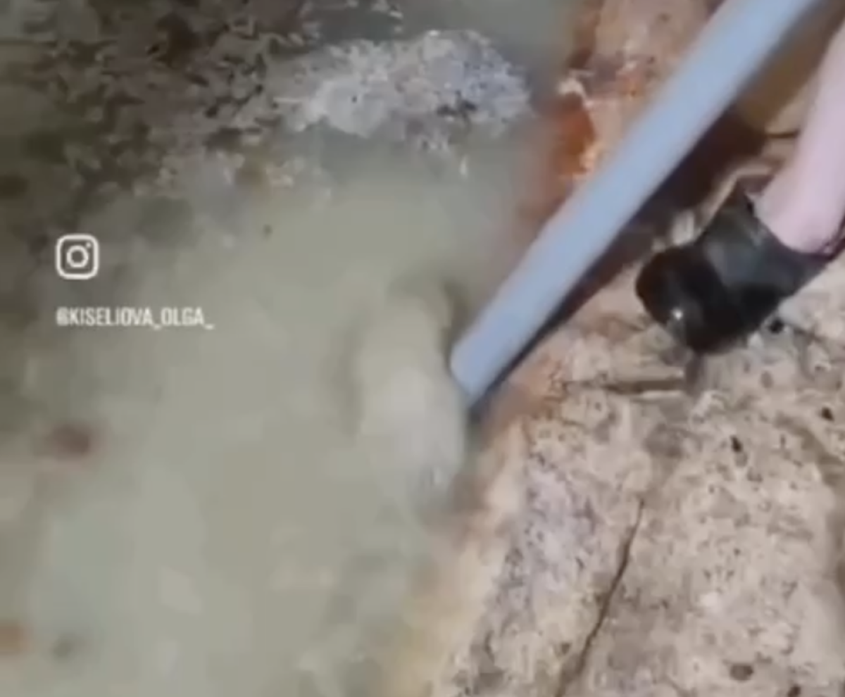 Фото: видео скриншот