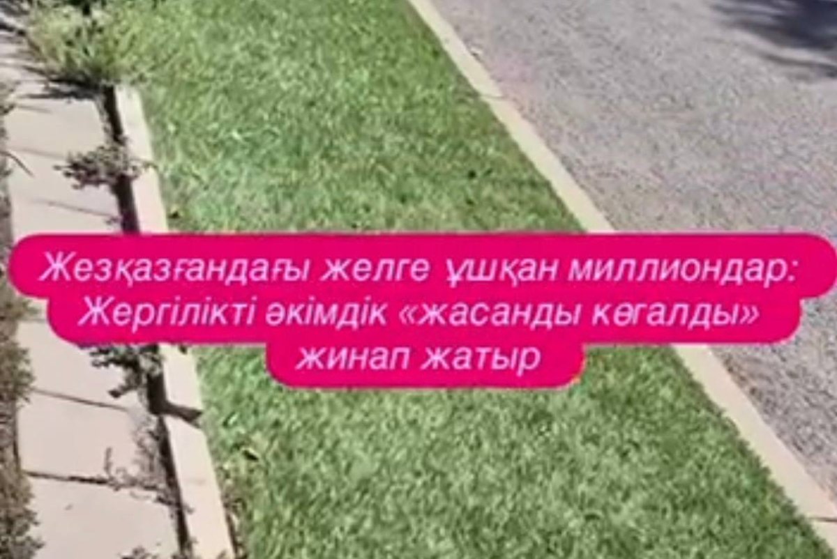 Фото: видеодан скрин
