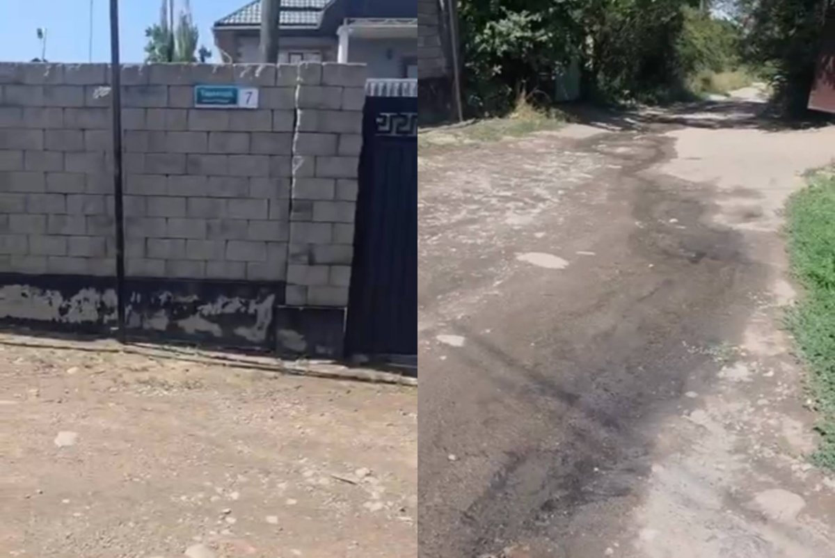 Фото: видеодан скрин
