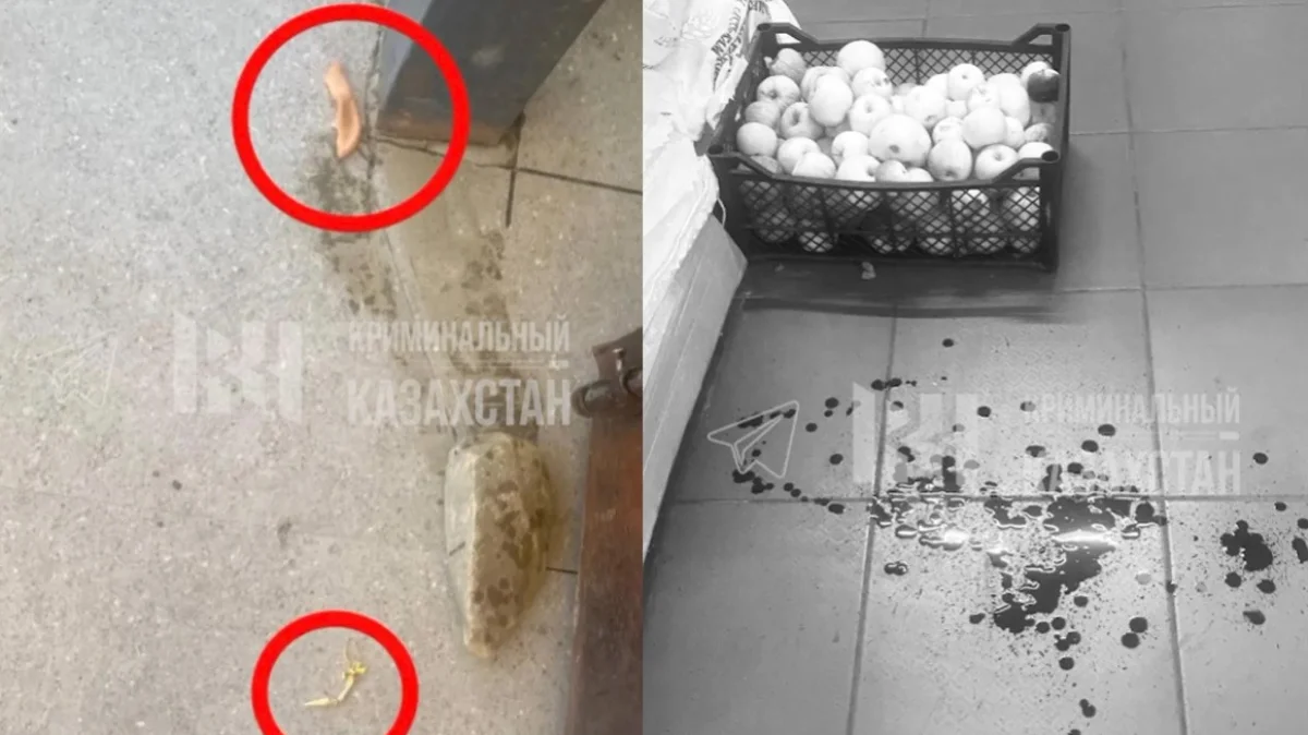 Фото: видео скриншот