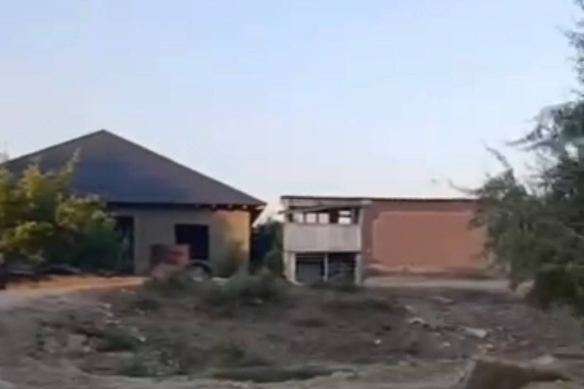 Фото: Видео скриншот