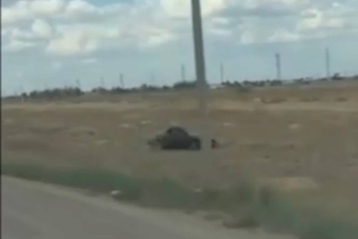 Фото: Видео скриншот