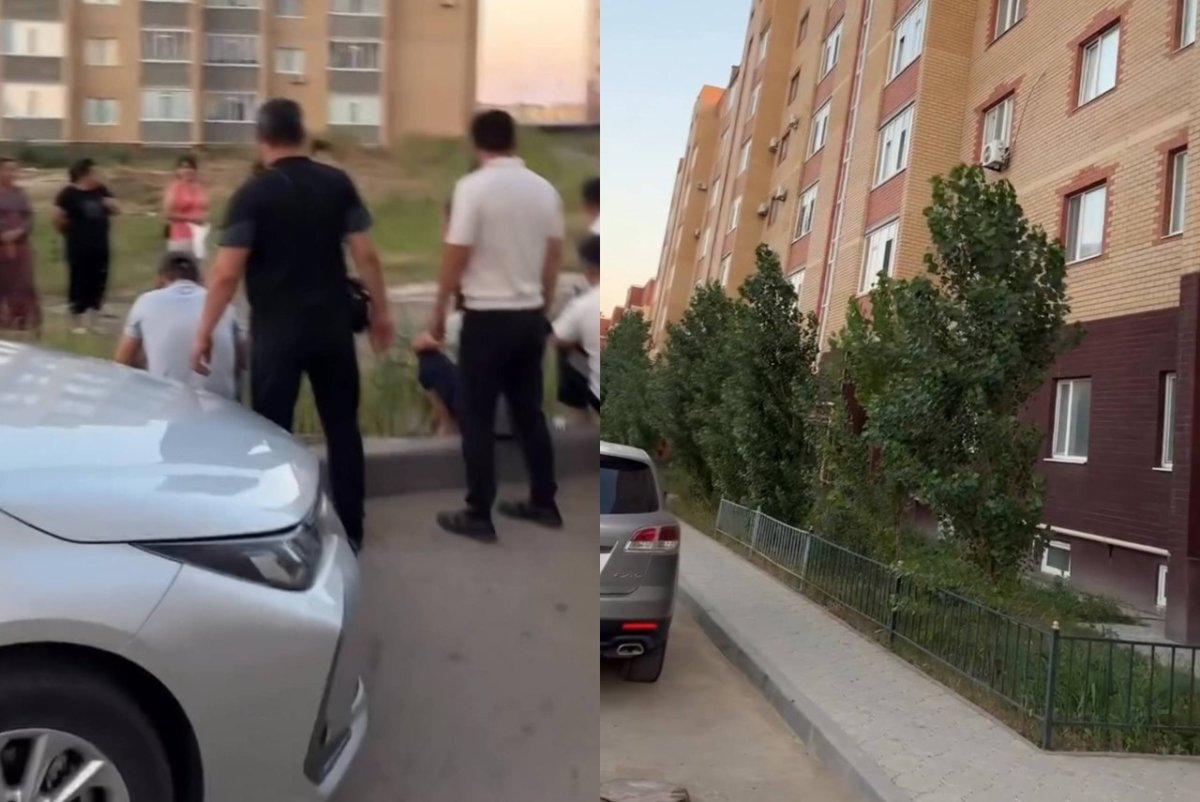 Фото: видеодан скрин