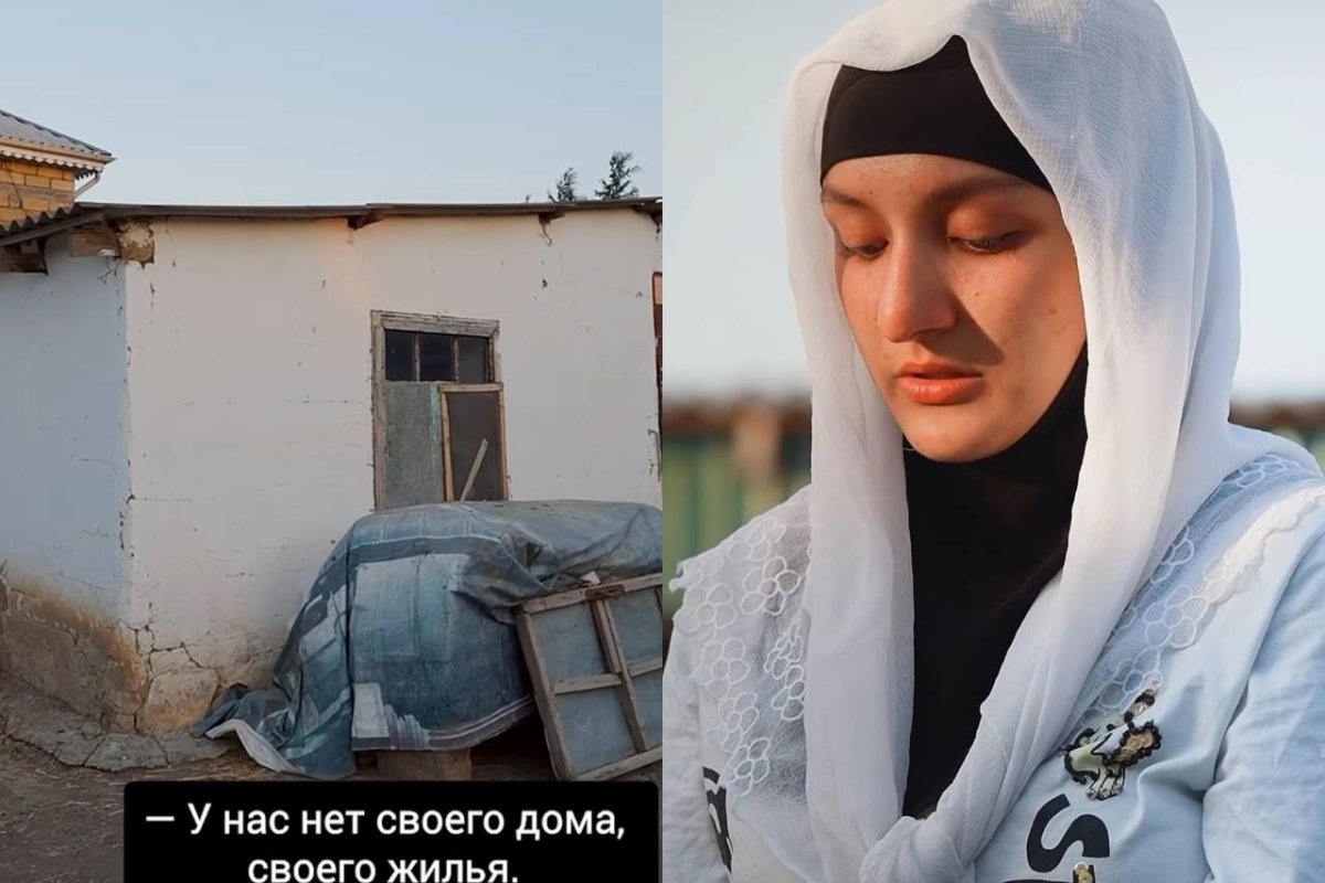 Фото: Видеодан скриншот