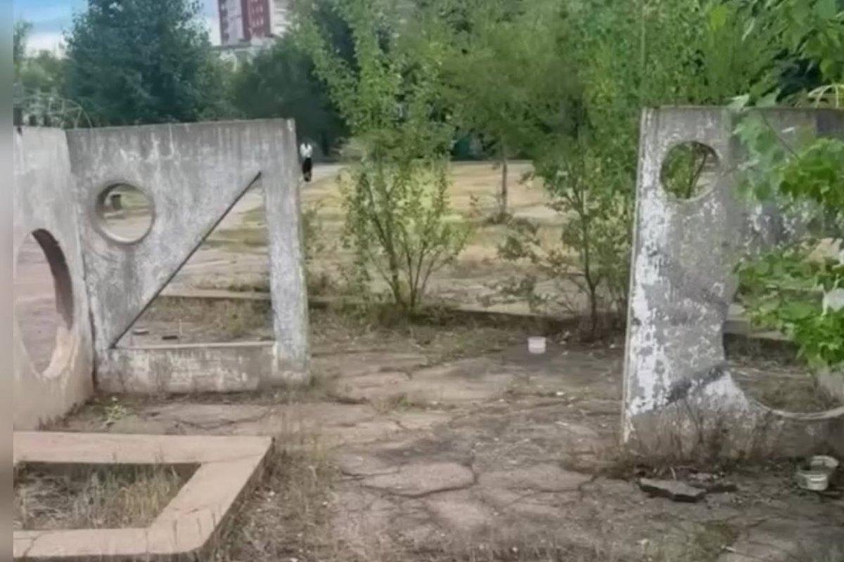 Фото: Видео скриншот