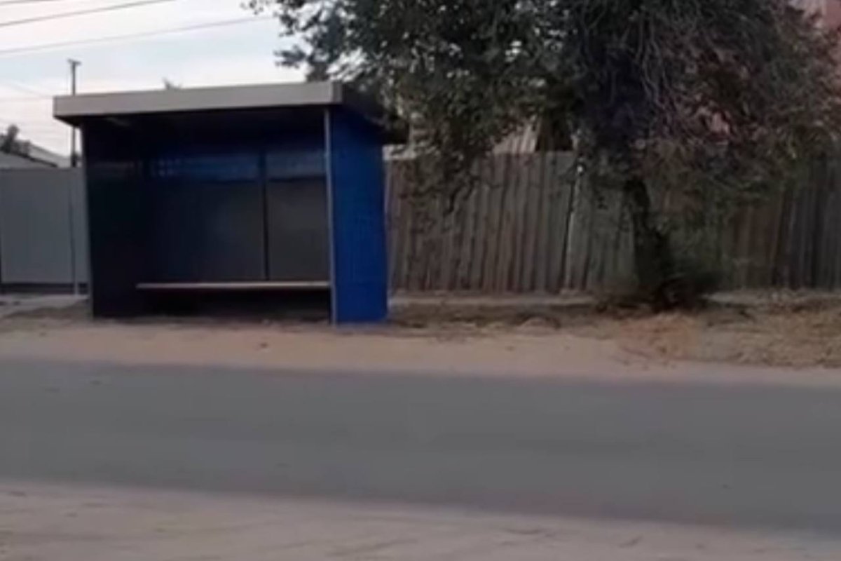 Фото: Видео скриншот