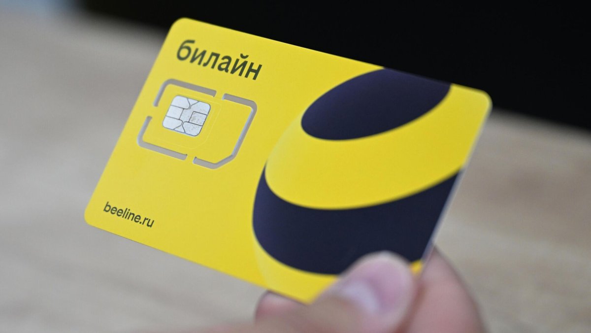 Фото: © Sputnik / Павел Бедняков