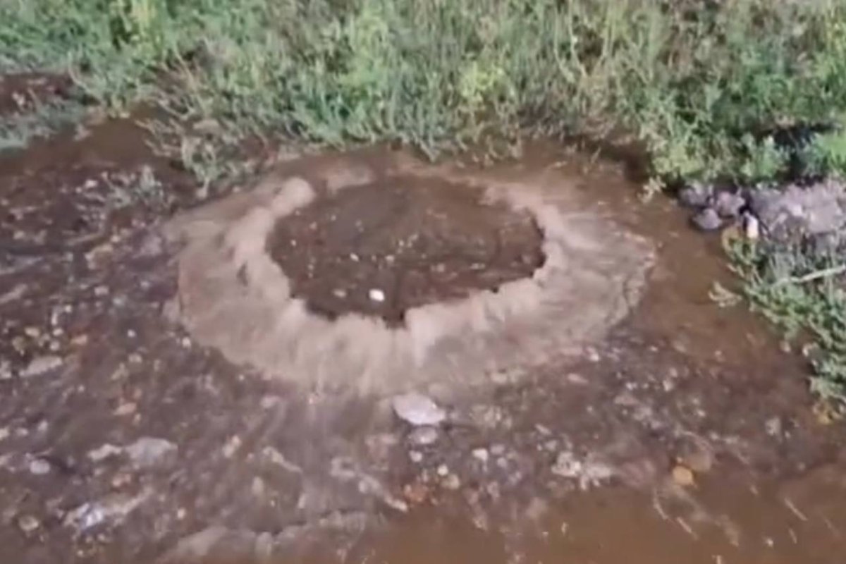 Фото: Видео скриншот