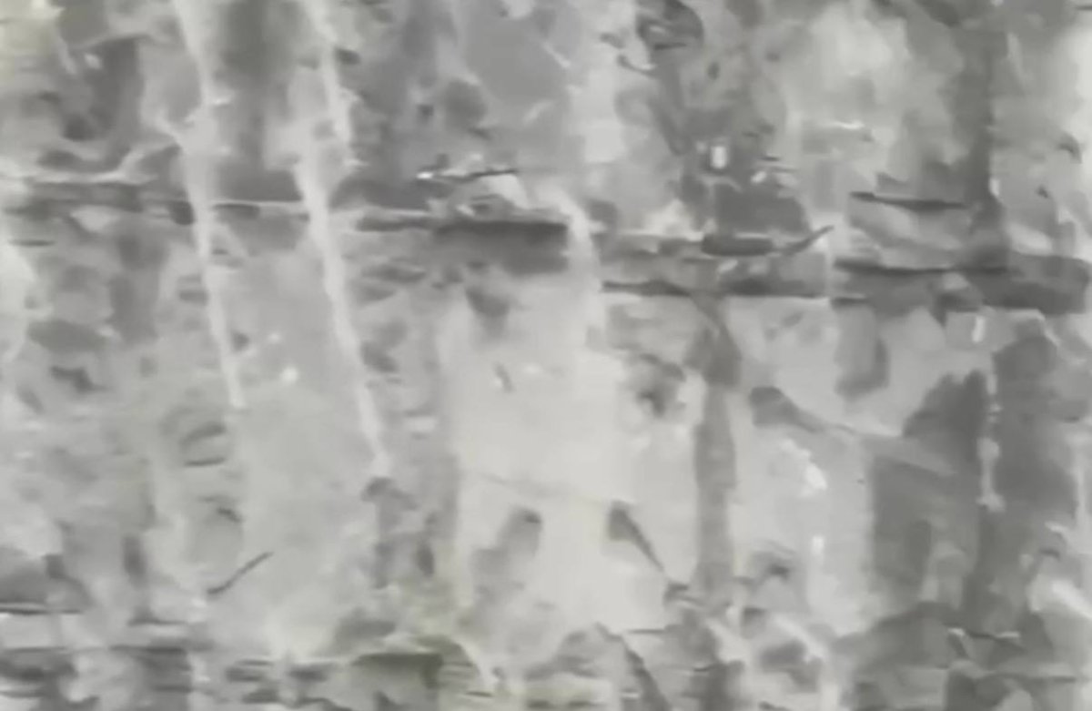 Фото: Видео скриншот