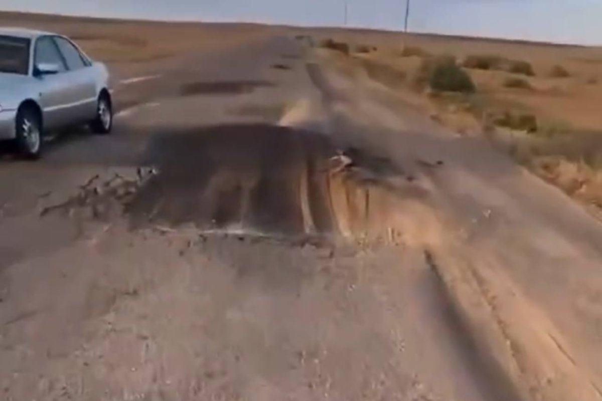Фото: Видео скриншот