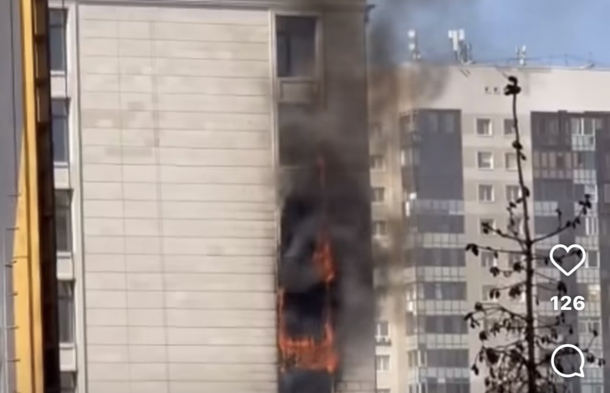 Фото: видео скриншот
