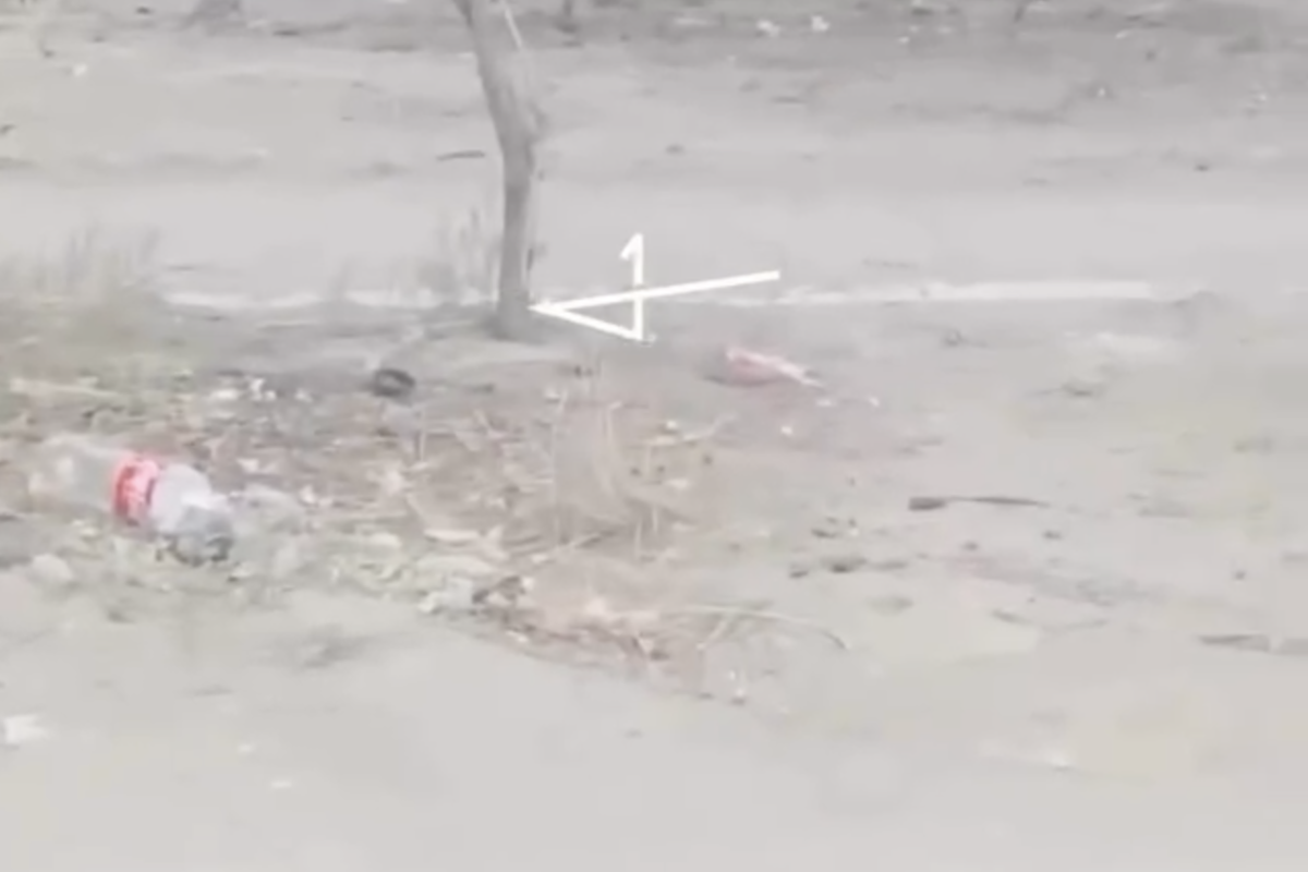 Фото: видео скриншот