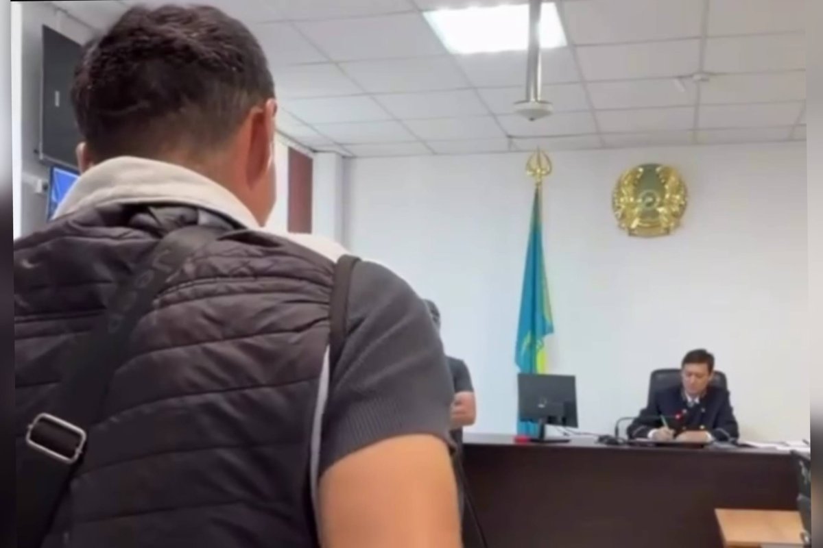 Фото: Видеодан скрин