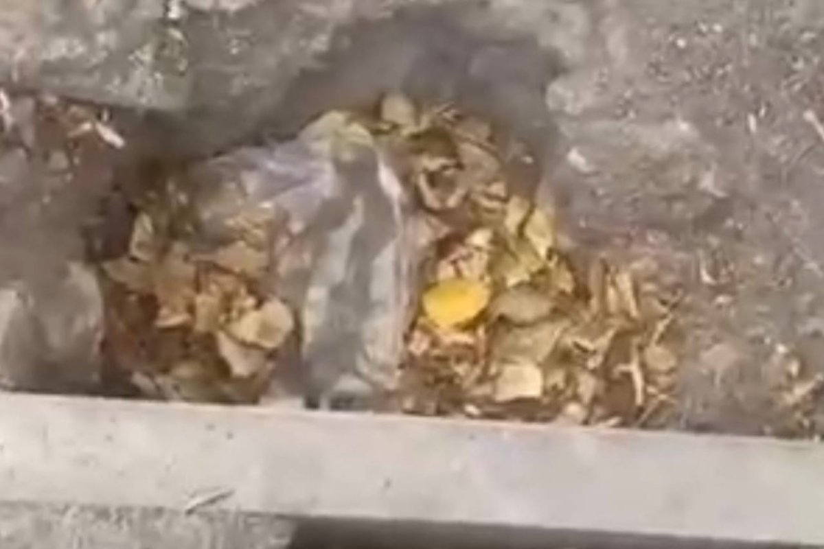 Фото: әлеуметтік желі
