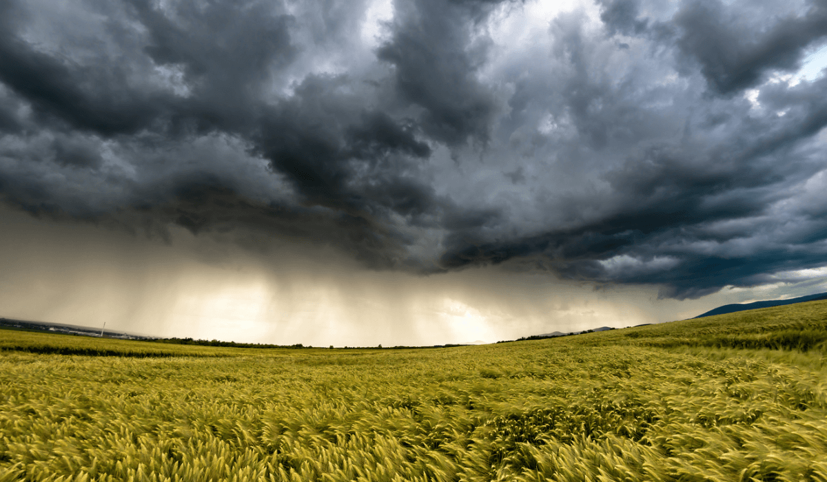 Фото: Pixabay