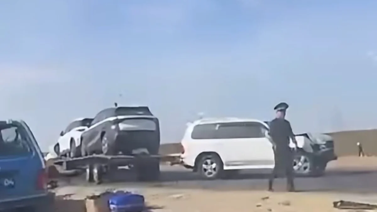 Фото: видео скриншот