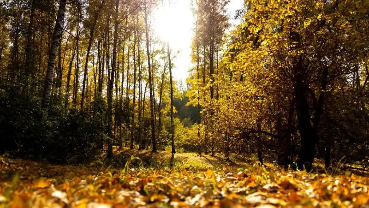 Фото: Zakon.kz
